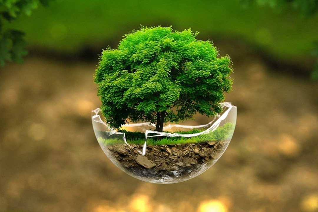 Safety and environmental science
